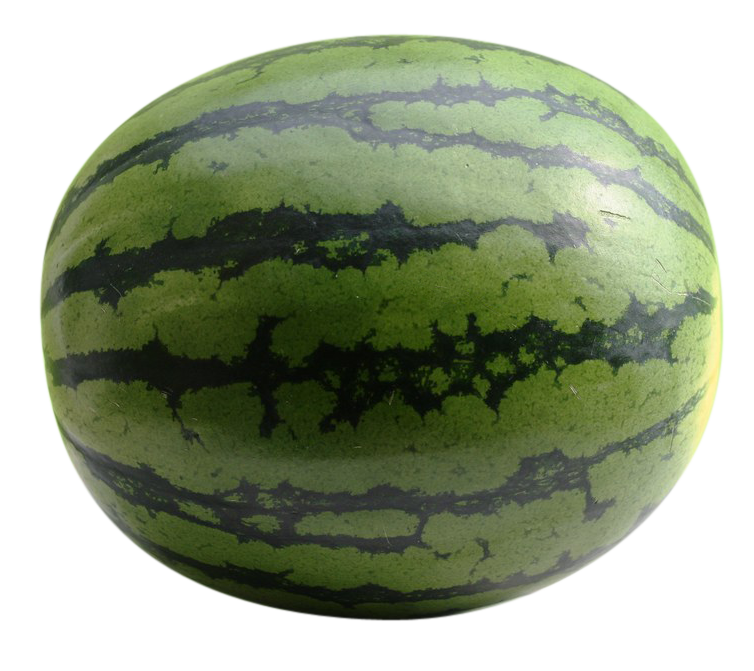 water melon images, water melon png, water melon png image, water melon transparent png image, water melon png full hd images download